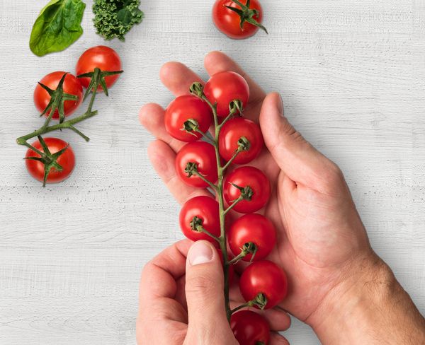 Our goal is to support food waste reduction.