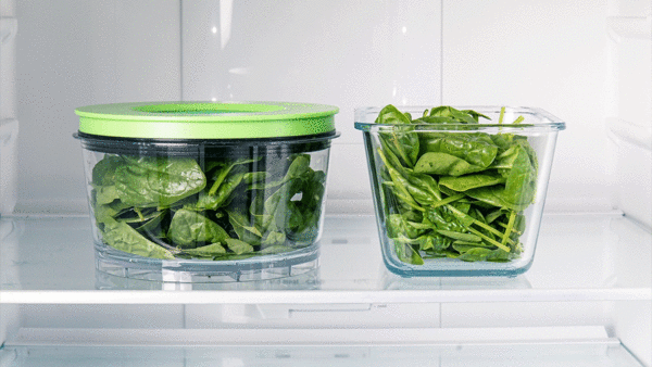 GIF animé montrant comment des épinards conditionnés sous vide se conservent plus longtemps.